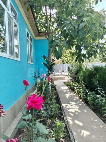 3 otaqlı həyət evi/bağ evi - Qəbələ - 80 m² (7)