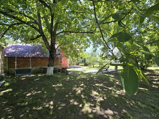 3 otaqlı həyət evi/bağ evi - Qəbələ - 120 m² (9)