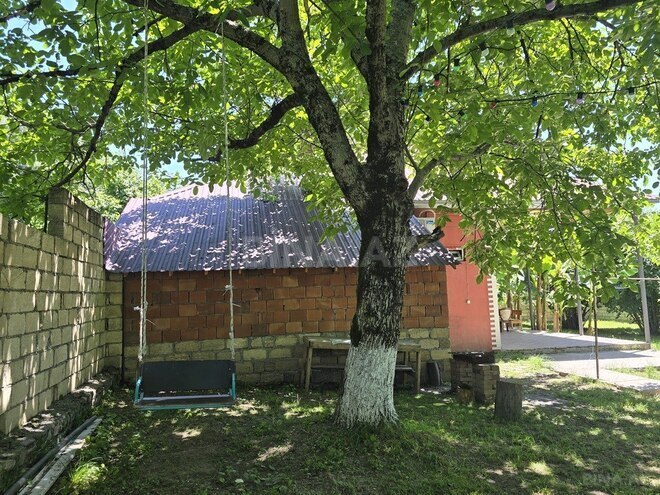 3 otaqlı həyət evi/bağ evi - Qəbələ - 120 m² (6)