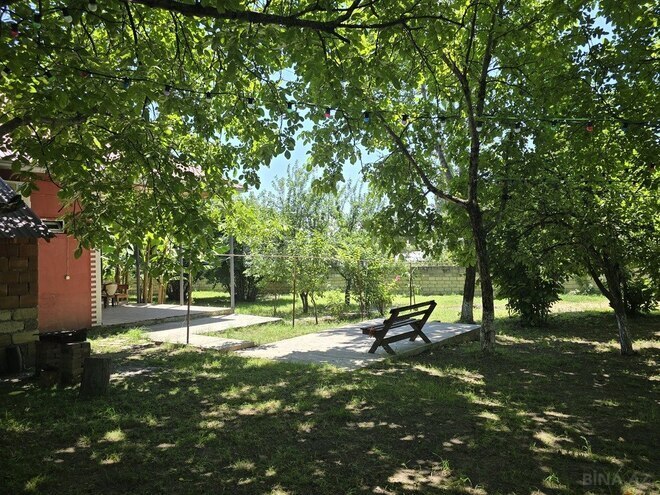 3 otaqlı həyət evi/bağ evi - Qəbələ - 120 m² (7)