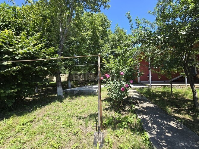 3 otaqlı həyət evi/bağ evi - Qəbələ - 120 m² (4)