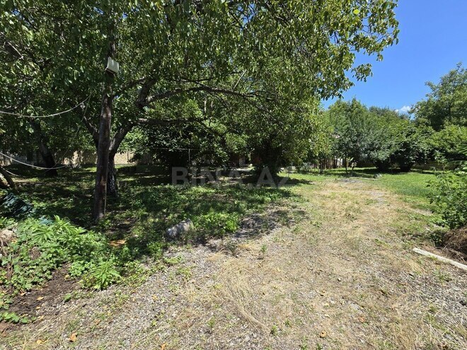3 otaqlı həyət evi/bağ evi - Qəbələ - 120 m² (10)