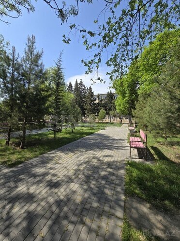 2 otaqlı köhnə tikili - Nəsimi m. - 55 m² (3)