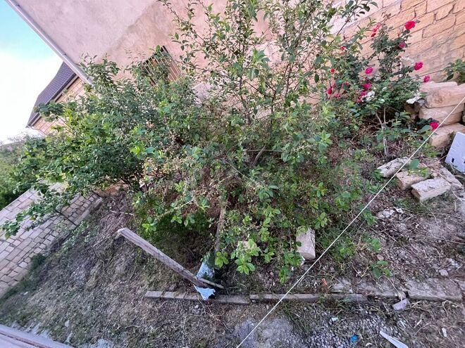 3 otaqlı həyət evi/bağ evi - Saray q. - 90 m² (11)