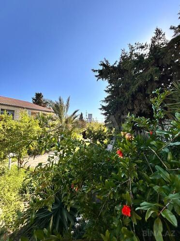6 otaqlı həyət evi/bağ evi - Mərdəkan q. - 350 m² (10)