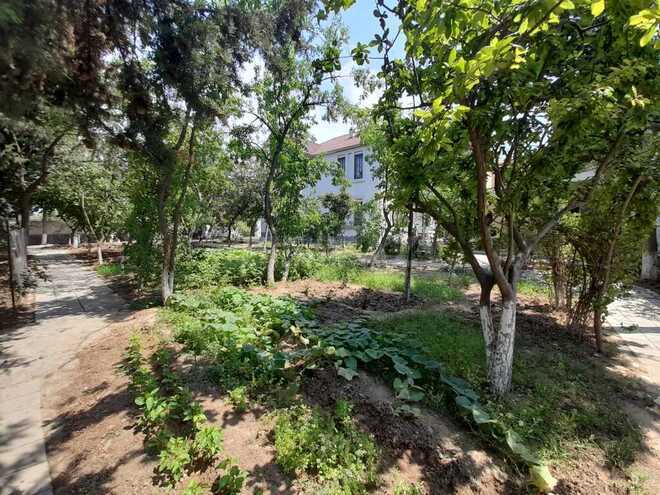 7 otaqlı həyət evi/bağ evi - Badamdar q. - 650 m² (6)