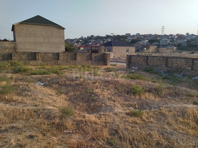 Torpaq - Masazır q. - 8 sot (1)