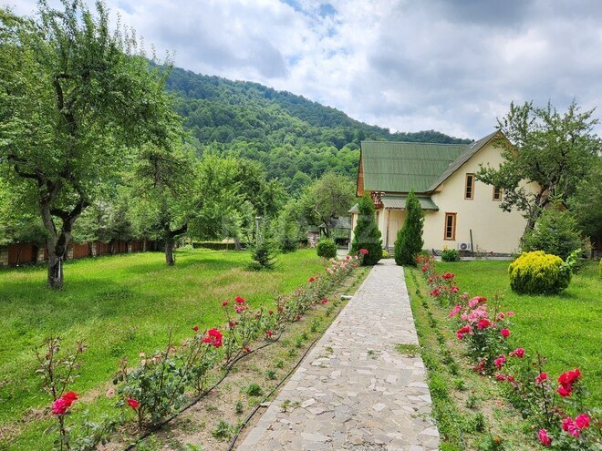 5 otaqlı həyət evi/bağ evi - İsmayıllı - 340 m² (2)
