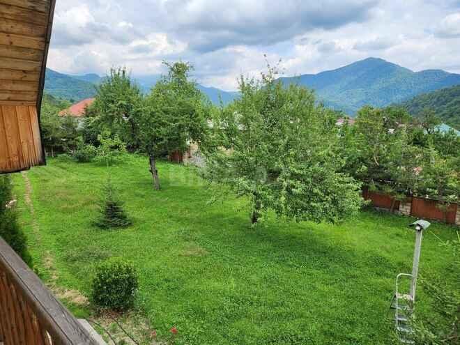 5 otaqlı həyət evi/bağ evi - İsmayıllı - 340 m² (6)