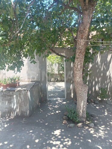 6 otaqlı həyət evi/bağ evi - Gəncə - 160 m² (6)