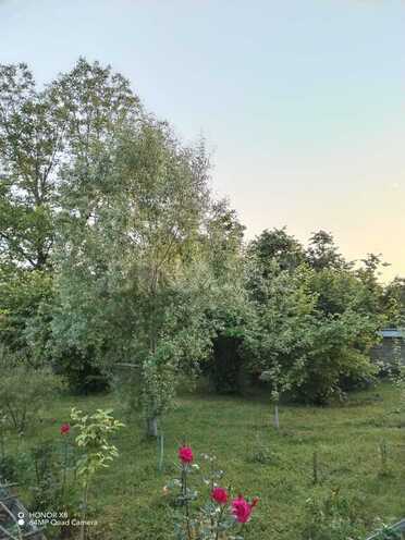 3 otaqlı həyət evi/bağ evi - Qəbələ - 90 m² (7)