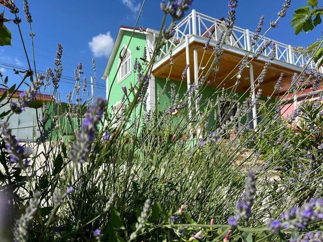 3 otaqlı həyət evi/bağ evi - Şamaxı - 100 m² (3)