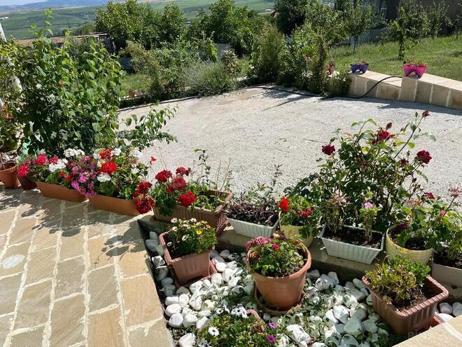 3 otaqlı həyət evi/bağ evi - Şamaxı - 100 m² (15)