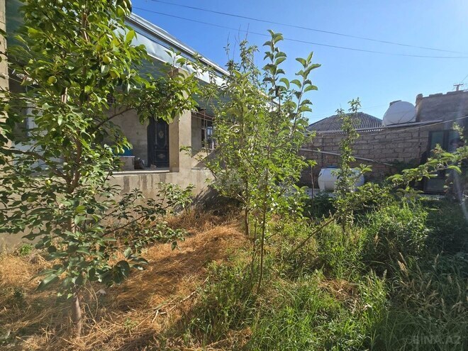 3 otaqlı həyət evi/bağ evi - Binə q. - 100 m² (2)