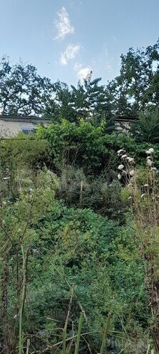 4 otaqlı həyət evi/bağ evi - Şamaxı - 65.2 m² (3)
