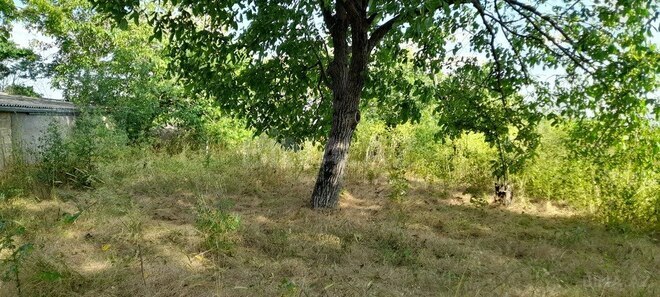 4 otaqlı həyət evi/bağ evi - Şamaxı - 65.2 m² (1)
