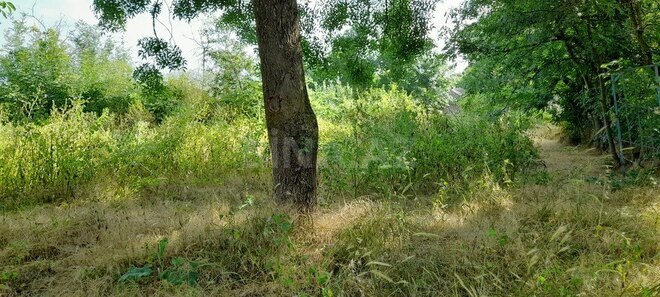 4 otaqlı həyət evi/bağ evi - Şamaxı - 65.2 m² (4)