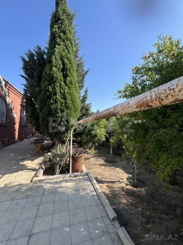 4 otaqlı həyət evi/bağ evi - Bilgəh q. - 160 m² (15)