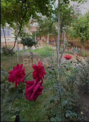 4 otaqlı həyət evi/bağ evi - Qax - 100 m² (1)
