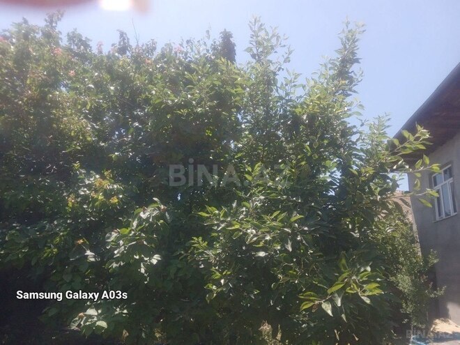 Həyət evi/Bağ evi - Gəncə - 400 m² (18)