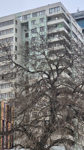 4 otaqlı yeni tikili - Elmlər Akademiyası m. - 210 m² (1)