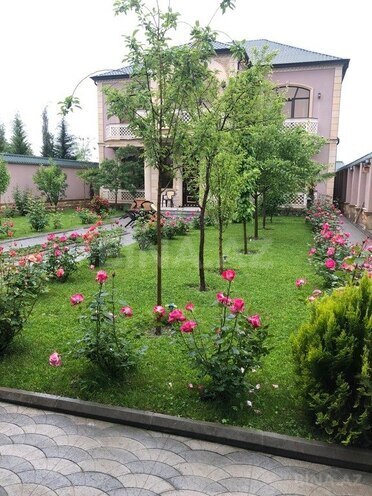 6 otaqlı həyət evi/bağ evi - Zaqatala - 336 m² (5)