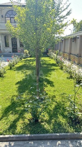 6 otaqlı həyət evi/bağ evi - Zaqatala - 336 m² (3)