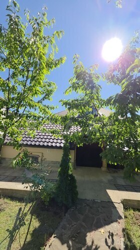 8 otaqlı həyət evi/bağ evi - Şamaxı - 280 m² (30)