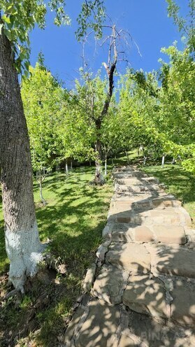 8 otaqlı həyət evi/bağ evi - Şamaxı - 280 m² (26)