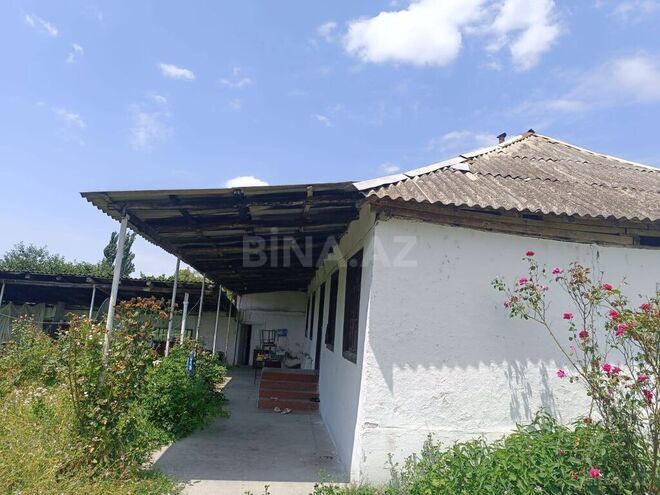 3 otaqlı həyət evi/bağ evi - Qəbələ - 80 m² (1)