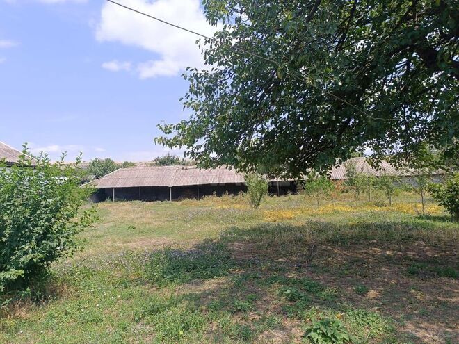 3 otaqlı həyət evi/bağ evi - Qəbələ - 80 m² (13)