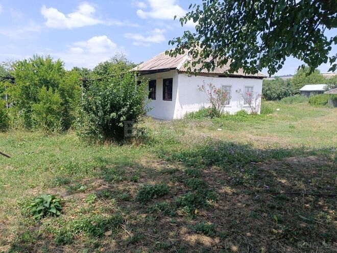 3 otaqlı həyət evi/bağ evi - Qəbələ - 80 m² (3)