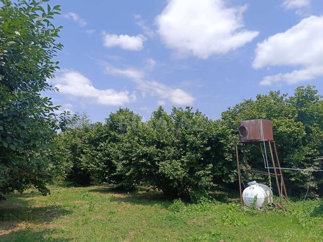 3 otaqlı həyət evi/bağ evi - Qəbələ - 80 m² (16)