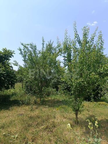 3 otaqlı həyət evi/bağ evi - Qəbələ - 80 m² (21)