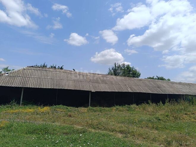 3 otaqlı həyət evi/bağ evi - Qəbələ - 80 m² (22)