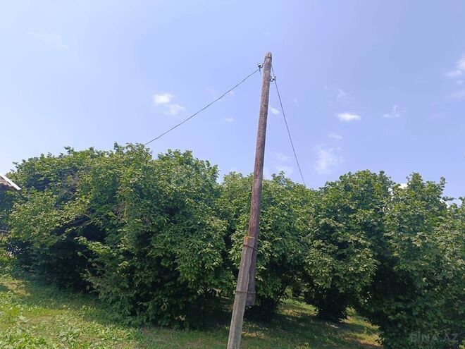 3 otaqlı həyət evi/bağ evi - Qəbələ - 80 m² (17)