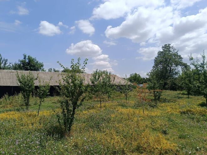 3 otaqlı həyət evi/bağ evi - Qəbələ - 80 m² (20)