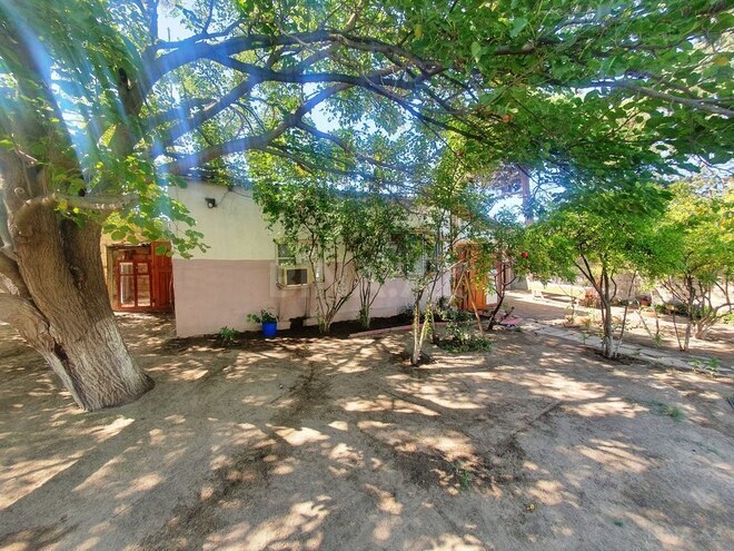 6 otaqlı həyət evi/bağ evi - Görədil q. - 216 m² (11)