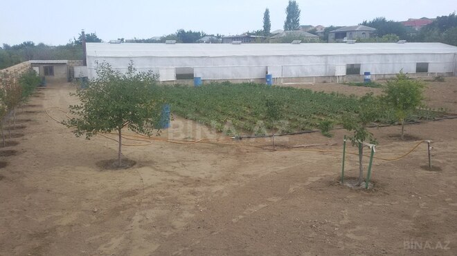 Torpaq - Sumqayıt - 25 sot (2)