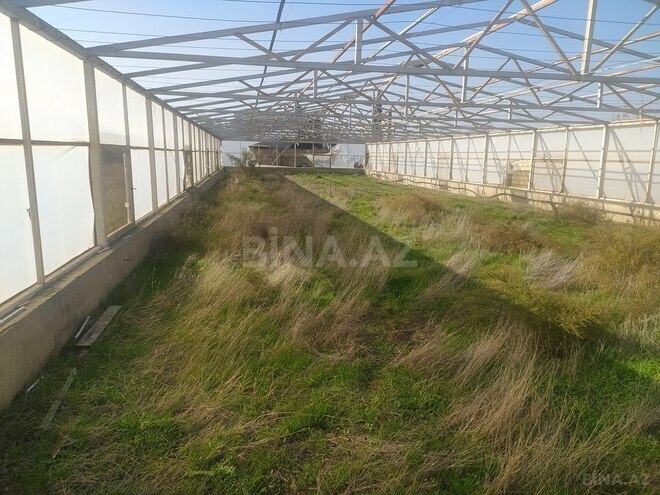 Torpaq - Sumqayıt - 25 sot (7)