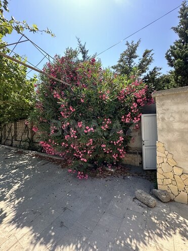 Torpaq - Şüvəlan q. - 3 sot (4)