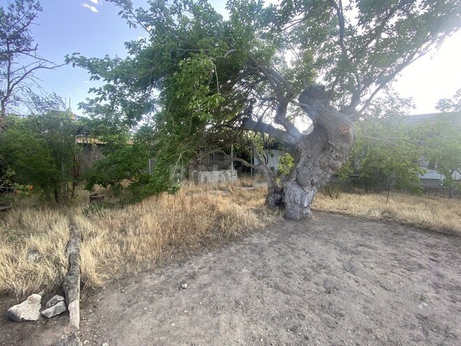 3 otaqlı həyət evi/bağ evi - Şüvəlan q. - 140 m² (2)