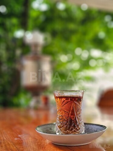 3 otaqlı həyət evi/bağ evi - Qəbələ - 100 m² (25)