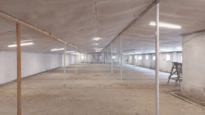 Obyekt - Salyan - 500 m² (1)