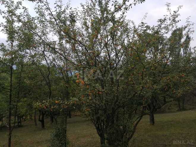Torpaq - Quba - 44 sot (2)