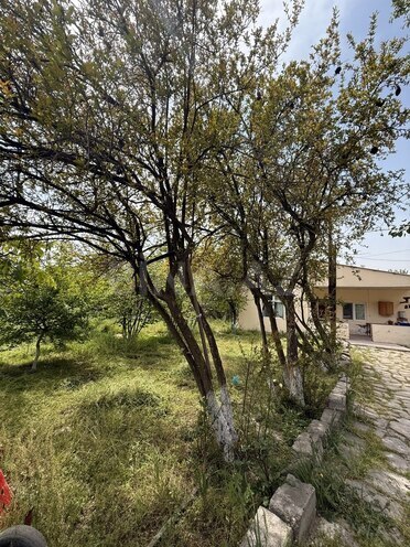 3 otaqlı həyət evi/bağ evi - Əhmədli q. - 110 m² (8)
