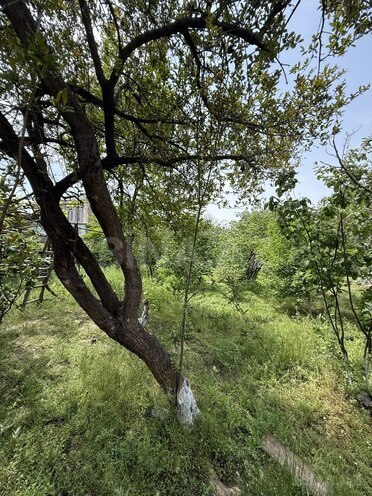 3 otaqlı həyət evi/bağ evi - Əhmədli q. - 110 m² (14)