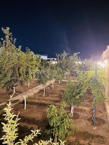 6 otaqlı həyət evi/bağ evi - Şüvəlan q. - 350 m² (27)