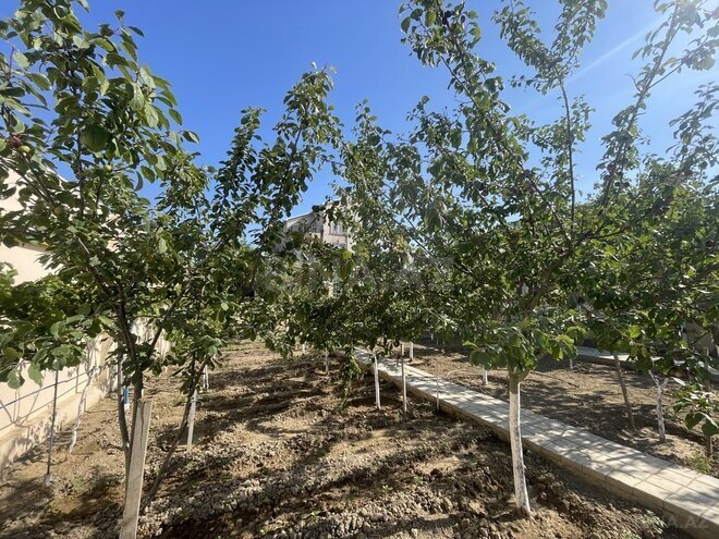 6 otaqlı həyət evi/bağ evi - Şüvəlan q. - 350 m² (29)
