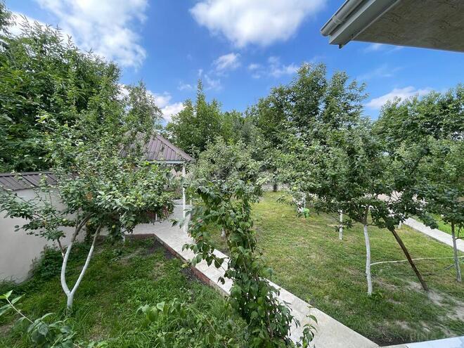 3 otaqlı həyət evi/bağ evi - Qəbələ - 120 m² (4)